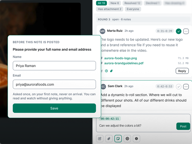 The client's review screen: comments pinned to timecodes on the video, and a one-time name and email box instead of a login.