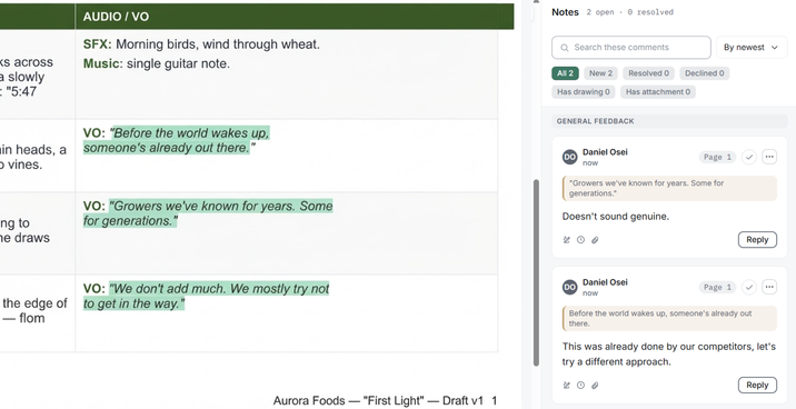 A script under review: the scene table with time, visual and voice-over columns, two voice-over lines highlighted, and the client’s comments on them beside it.